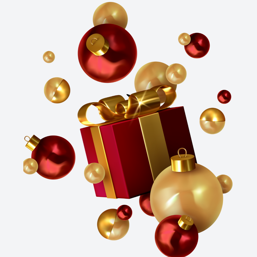 Referral programme (present)